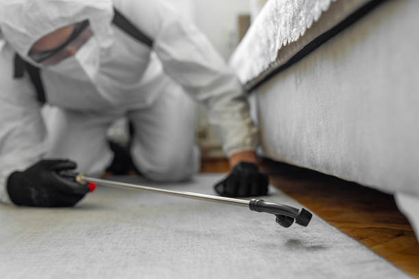 Professional Bed Bug Control technician working in Taunton, MA