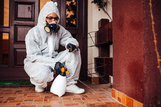 Reliable Bed Bug Control contractor in Taunton, MA by Nex Pest Control